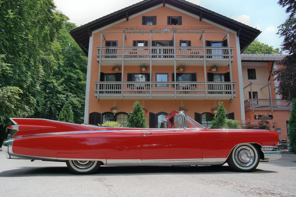 Hotel Waldgasthof Buchenhain Baierbrunn Kültér fotó